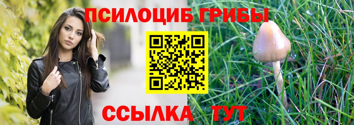 Псилоцибиновые грибы мухоморы  Галлюциногенные грибы мухоморы  Вход с VPN  Подольск 