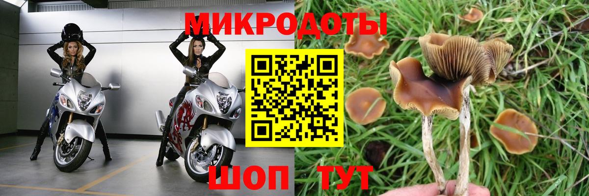 Псилоцибиновые грибы MAGIC MUSHROOMS Подольск